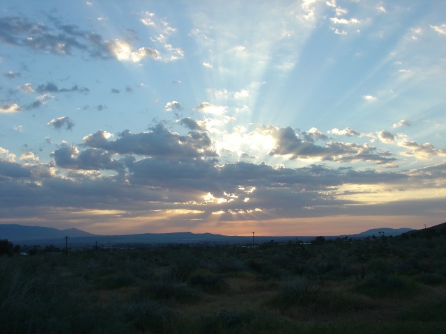 Image from Anza-Borrego Desert SP ®